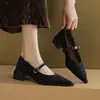Primeiro Encontro com os Sapatos Mary Jane de Alça Única Estampa Leopardo Estilo Francês para Mulheres, Apresentando Saltos Grossos, Novos Sapatos de Salto Alto para Primavera e Outono com Bico Baixo