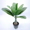 Suministro Directo de Fábrica Estilo Nórdico Decoración Mini de Escritorio Planta Simulada Girasol Bonsái Plátano Planta Verde Simulada Planta en Maceta