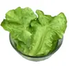 Simulação Folhas de Alface Pequenas Modelo de Vegetal Folhas de Vegetais de PVC Exibição de Alimentos de Cozinha Adereços para Sessão de Fotos de Fazenda Restaurante