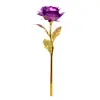 Rosa Individual con Lámina de Oro Promoción de Apertura Navidad Día de San Valentín Regalo de Cumpleaños Hoja de Oro Evento Creativo Regalo Pequeño