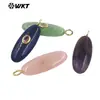 Wt-P2073 Oval Geométrico Redondo de Textura Lisa Lápiz Lazuli Ojo de Tigre Piedra Zirconia de Colores Piedra Incrustada Colgante
