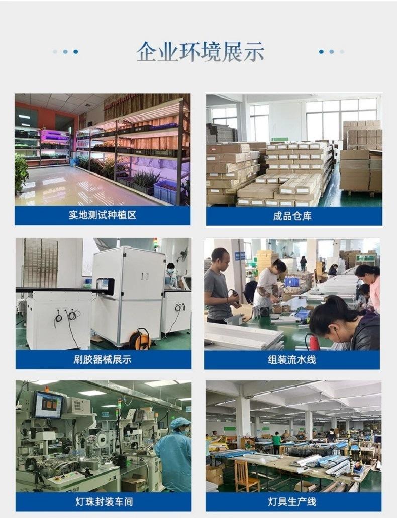 详情2.jpg