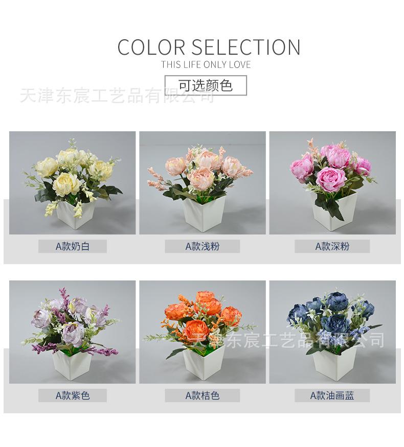 详情_02.jpg