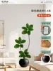 Plantas Verdes Artificiais de Alta Qualidade para Decoração de Sala de Estar, Planta Realista Falsa de Figueira-da-Índia Preta para Decoração de Sala de Transmissão ao Vivo