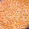 Cenouras em Cubos Congeladas, Cubos de Cenoura Congelados Rapidamente, Fatias de Cenoura Congeladas, Cenouras em Formato de Ameixa Congeladas Rapidamente, Cenouras Raladas