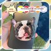 Adesivo de acrílico para suporte de airbag de celular telescópico com cola para animal de estimação estrela, suporte para celular por atacado