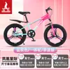 Bicicleta Infantil Phoenix para Niñas de 6-12-15 Años, Adolescentes, Niños Mayores, Bicicleta de Montaña con Cambios para Estudiantes