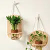Conjunto de Plantas Verdes Hidropônicas de Parede com Suporte de Parede de Madeira Natural para Sala de Estar, Quarto, Mesa, Decoração Fresca, Plantas Fáceis de Cuidar