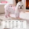 Ropa de Perro para Otoño e Invierno con Bordado de Dibujos Animados, Conjunto de Cuatro Patas para Casa, Se Puede Usar con Correa, Ropa que Cubre la Panza para Gatos, Ropa para Mascotas Pequeñas y Medianas