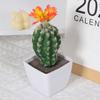 Simulación de cactus suculentos, decoración para el hogar, hotel, nueva flor, pequeña planta verde, bonsái, venta al por mayor