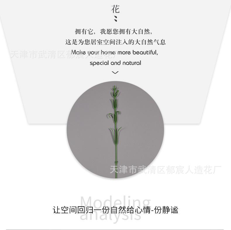 详情_05.jpg