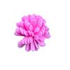 Cabezas de Flores Artificiales, Flores Aromáticas, Accesorios Decorativos Hechos a Mano para Manualidades, Flores Secas Decorativas, Hierba, Crisantemos Pe, Fragancia Creativa Inspirada en la Biología al por Mayor