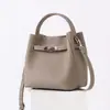Bolso Cesta Cruzado de un Solo Hombro, Bolso de Cubo con Aspecto de Alta Gama, Diseño de Nicho, Lujo Ligero, Nuevo y de Moda