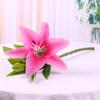 Simulação de impressão 3D Lily PU filme sentir 3 casamento sala de estar decoração decoração fotografia ornamentos atacado