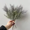Gérbera Transfronteiriça, Plantas Aquáticas, Plantas Verdes de Outono, Plantas Gramíneas, Fotografia Decorativa, Fabricantes Atacadistas de Paisagismo e Layout