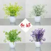 Decoración de Planta Verde Artificial Planta Pequeña en Maceta Flor de Plástico Flor Falsa Juego de Arreglo de Flores Artificiales Decoración de Bonsái Arreglo de Flores para el Hogar Planta en Maceta