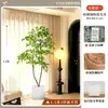 2026 Planta Verde Artificial Nandina Planta em Vaso Alto Padrão Luxo Leve Decorativa para Chão de Sala de Estar Flor Árvore Artificial Grande