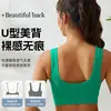 Sujetador de Mujer Sin Aros, Sexy Push-Up, Hermoso Espalda Chaleco de Yoga, Talla Grande, Estilo Europeo y Americano, Acolchado, Fitness, Running, Ropa Interior de Yoga