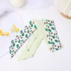 Novo Lenço de Seda Longo Estilo Coreano Primavera e Verão com Estampa de Frutas Cinto para Cabelo Gravata Longa Feminina Cinto de Seda Pequeno para Cabelo Feminino