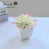 Suculenta Pequeño Bonsái Cerámica Muebles para el Hogar Decoración Fabricante de Jinhua Plantas Verdes Aliexpress Flor Artificial Plantas en Maceta