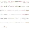 50 piezas de pegatinas transparentes de encaje PET para graffiti de doble cara para decoración DIY de teléfonos móviles, computadoras y agendas, materiales creativos para regalos
