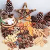 Flores Secas Piñas Decoración Hecha a Mano para Jardín de Infancia Materiales Vegetales Naturales Estilo Bosque Accesorios para Fotografía Cáscaras de Frutas Ramas Pequeños Adornos