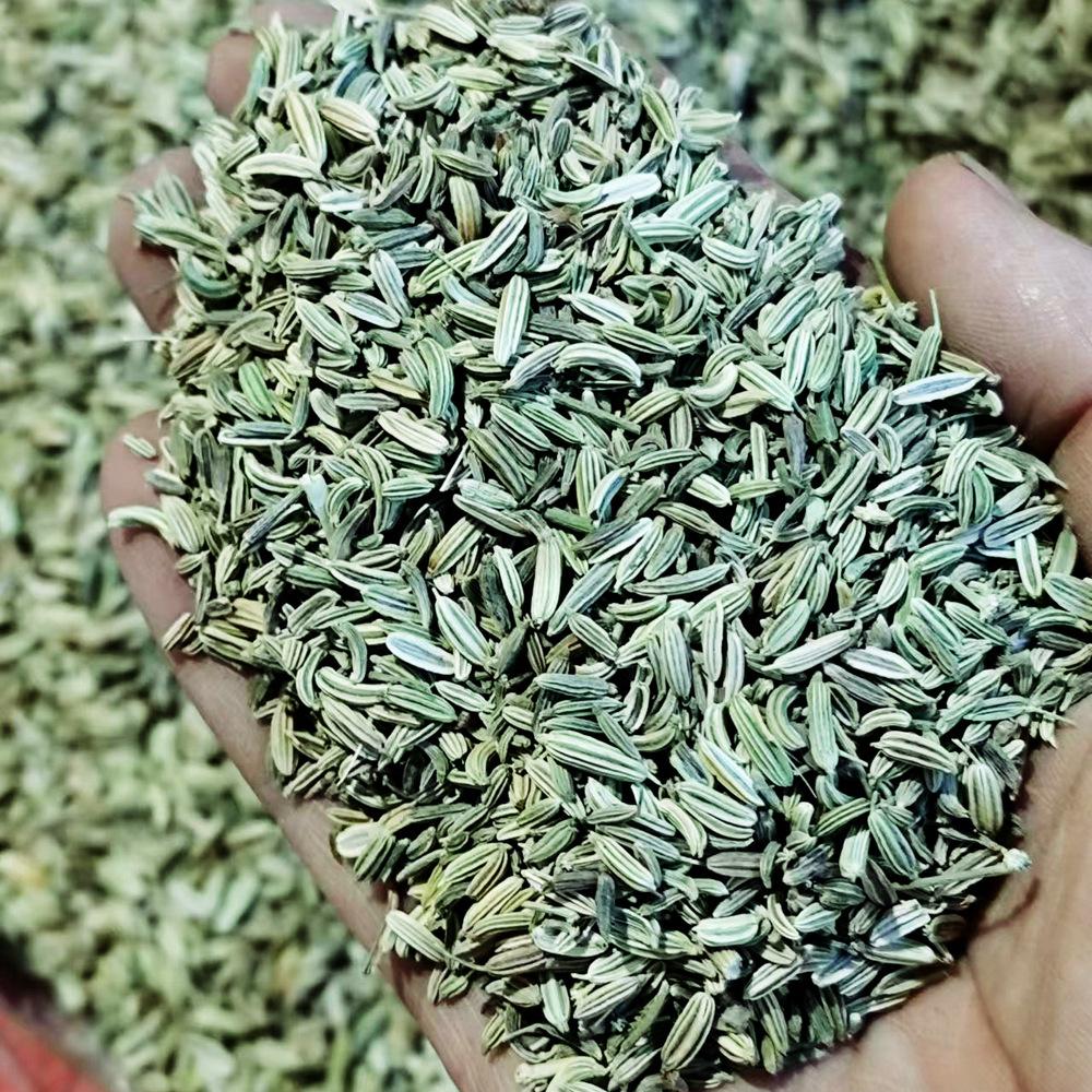 微信图片_20240608115002_1