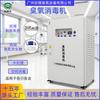 Zhenao Ozono 200g Generador de Ozono 100g Fuente de Oxígeno Tratamiento de Aguas Residuales Generador de Ozono Zhongao Da