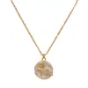 Diseño de Moda de Nicho Sentido Estrella Luna Concha Redondo Collar Exquisito Lujo Ligero Dulce Versátil Súper Brillante Cadena para Clavícula Venta al por Mayor
