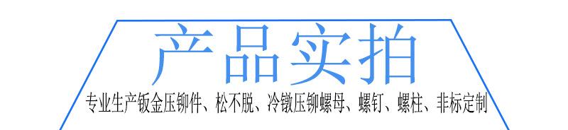 YD41YD42松不脱螺钉 (37