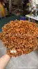 [Niebla Natural Hortensia] Flor Eterna Flor Seca Hortensia Anna Hortensia Lobular Material para Boda DIY Venta al por Mayor
