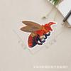 Pegatina de tela con diseño de insectos y abejas, parche de dibujos animados, para planchar, etiqueta bordada, decoración de cajas