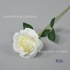 Rosa de Simulación Decoración de Interiores Rosa Holandesa Flor de Rama Única Mesa de Comedor Flor Flor Ornamental Ramo de San Valentín Flor para Sostener por la Novia Flor Ornamental Ornamental