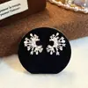 Pendientes de Zirconia y Perla Inspirados en Celebridades para Primavera y Verano para Mujer, Diseño de Nicho con un Toque de Lujo, Pendientes de Temperamento de Lujo Ligero