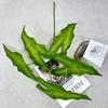 Nuevo producto transfronterizo, simulación de planta verde, tenedor, taro grande, decoración para el hogar, escritorio, sala de estar, camino de boda, decoración, planta en maceta