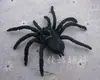 16 Tipos de Arañas Artificiales 1.5-15cm Halloween Plástico Arañas Pequeñas Broma Araña Grande Decoración Accesorios Transfronterizo
