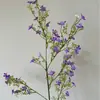 Flores Artificiales, Plantas Verdes, Flores Falsas, Flores Silvestres Pequeñas, Flores Blancas Pequeñas, Decoraciones de Boda, Paisajismo de Comercio Exterior, Decoraciones para el Hogar, Flores Exclusivas de Amazon