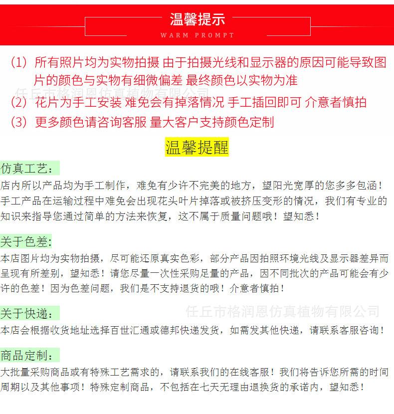 玫瑰藤条_10.jpg