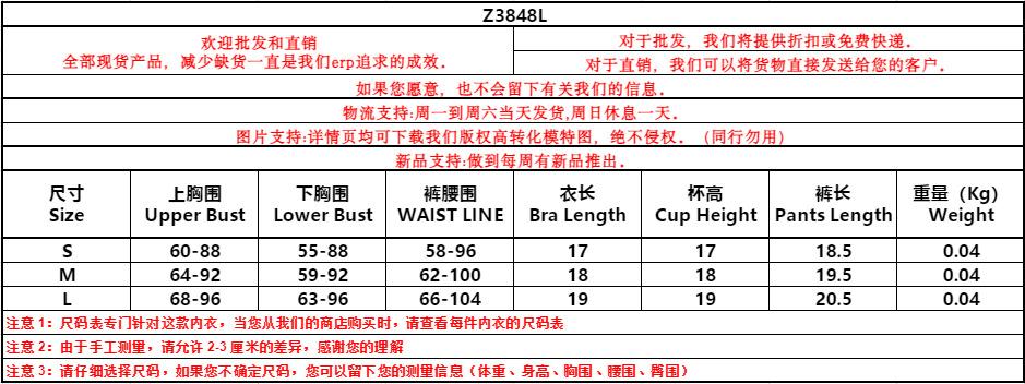 Z3848L妩衣.png
