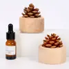 Madera Maciza Tuerca Expansión Madera Nogal Negro Difusor de Coche Aromaterapia sin Fuego Aceite Esencial Adornos de Sentido Avanzado Equipaje de Mano