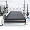 Máquina llenadora peristáltica con bomba dosificadora y cinta transportadora para ampollas de vacunas con cabezal ZONESUN10.