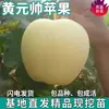 Venta al por mayor de plántulas de manzano Huang Yuanmai para plantar en jardines del norte y del sur, enanas en maceta, injerto de fruta extra grande