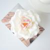 Cabeça de flor de rosa selvagem flor artificial flor de seda flor falsa estilo europeu retro outono faça você mesmo flor de casamento artesanal parede
