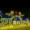 Iluminación Paisaje de Negocios Parque Público Plaza Exterior Festival de Luz Digital a Gran Escala Forma LED Espectáculo de Luces Decorativas