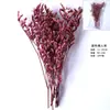 Flores Secas e Frutas Secas Material DIY Pinhas de Algodão Canela Limão Adereços de Tiro Jardim de Infância Pacote de Material Artesanal DIY