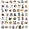 50 Hojas Transfronterizos Calientes Dibujos Animados Gato Divertido Pegatinas para Diario Personalidad Graffiti Maleta Funda de Teléfono Guitarra Patineta