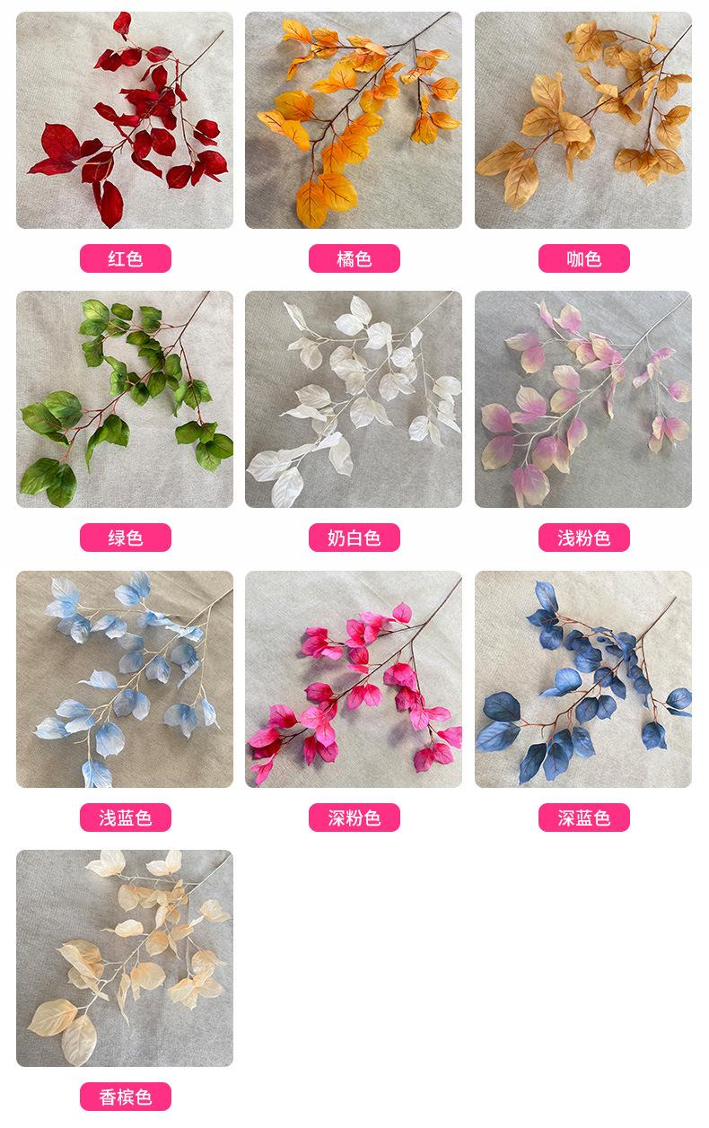 产品颜色.jpg