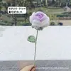 Producto Terminado Hecho a Mano Transfronterizo, Ramo Individual de Rosa Degradada Tejida a Crochet con Lana, Regalo Creativo para el Día de San Valentín y el Día de la Madre