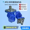 Motor Hidráulico BM2BMR Motor Hidráulico Rotativo de Alto Torque Molde Fita de Irrigação por Gotejamento Motor a Óleo Rotativo