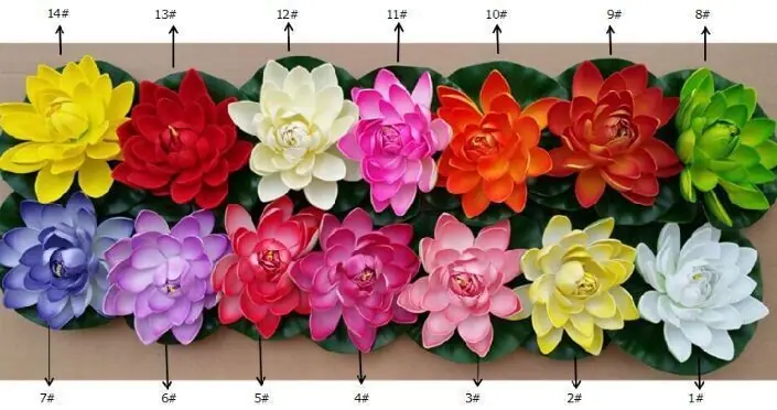 荷花色号3